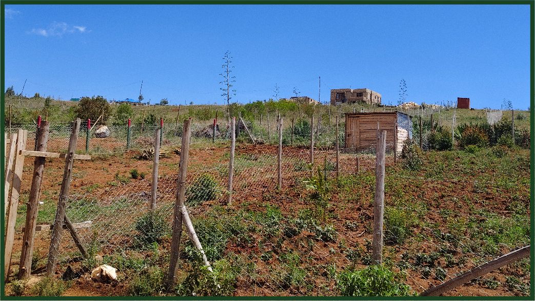 Affordable Plots in Kamangu | Phase V 