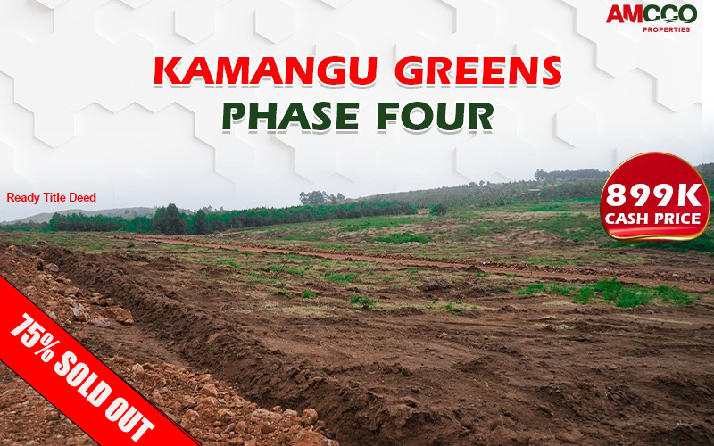 Plots for sale in Kikuyu Kamangu @899k with ready titles 