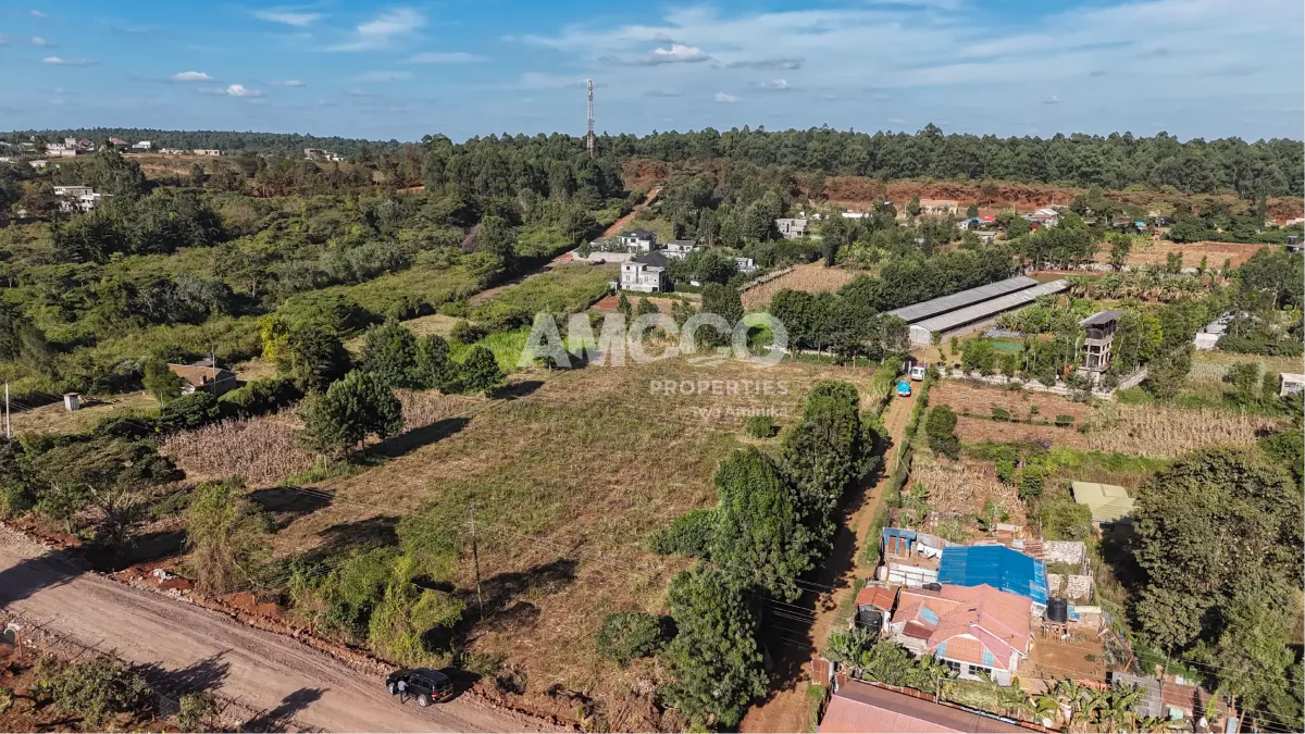 Mamba Court Kibiko