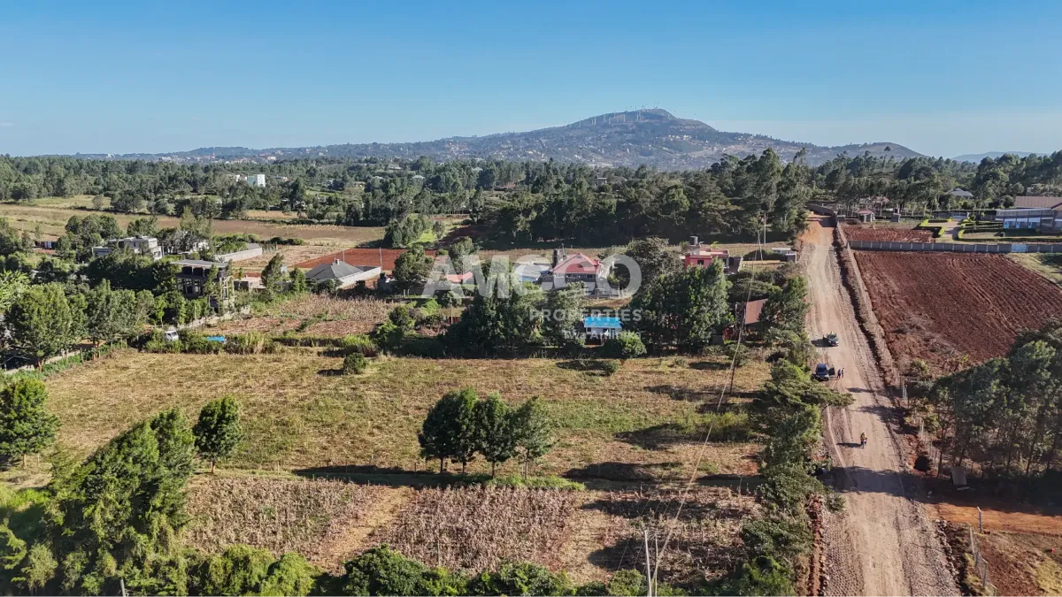 Mamba Court Kibiko