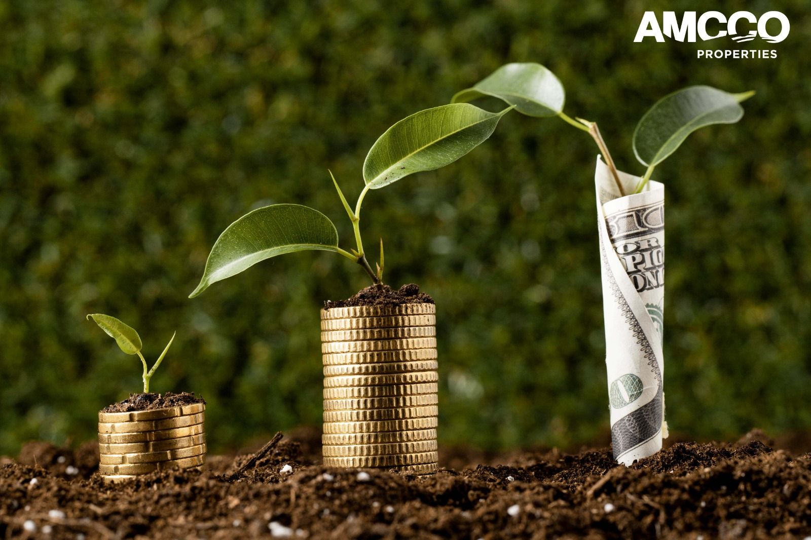 List of Best SACCOs in plot financing in Kenya
