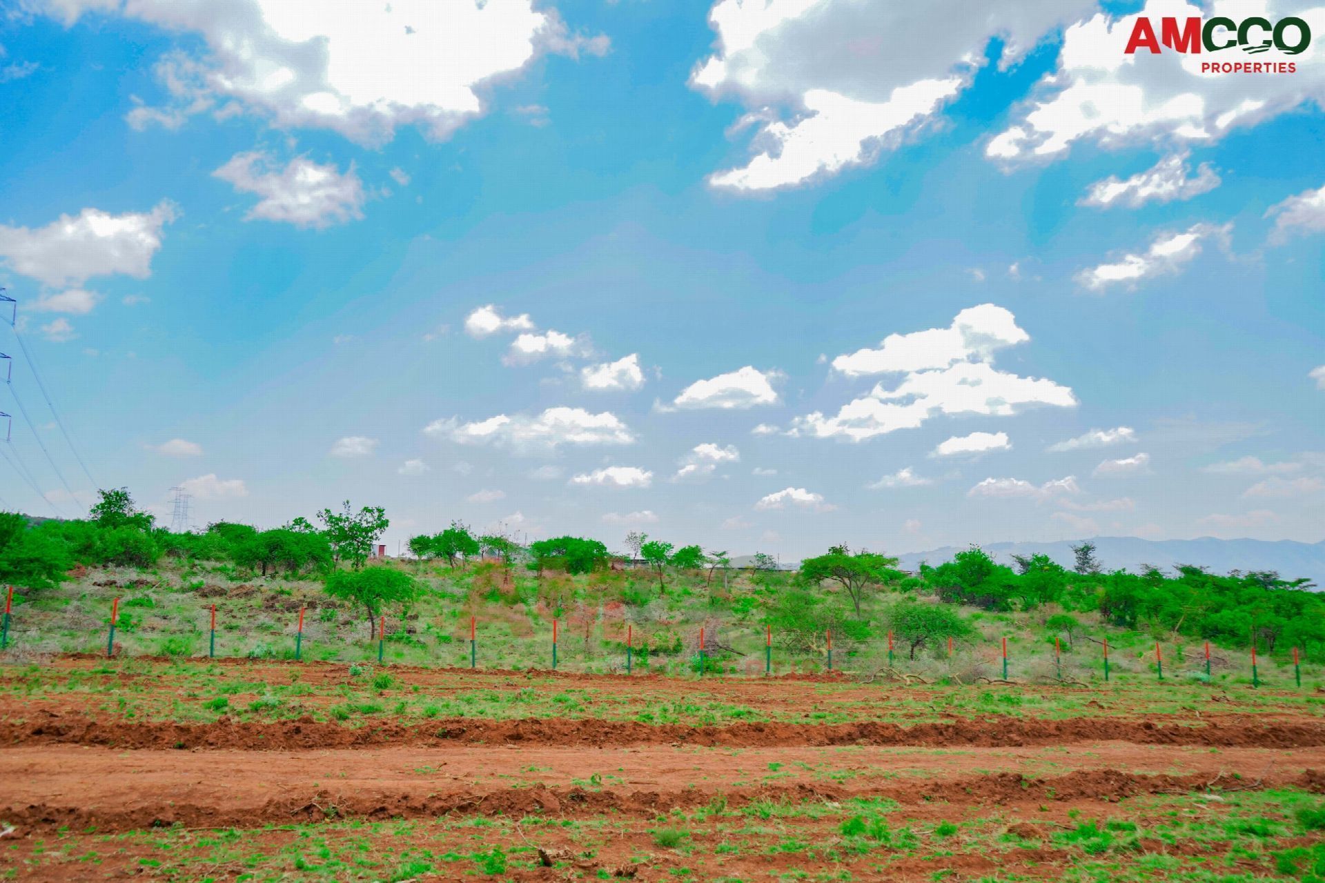 Beryl Estate: AMCCO Presents New Plots in Ngong at Just KSh 699k