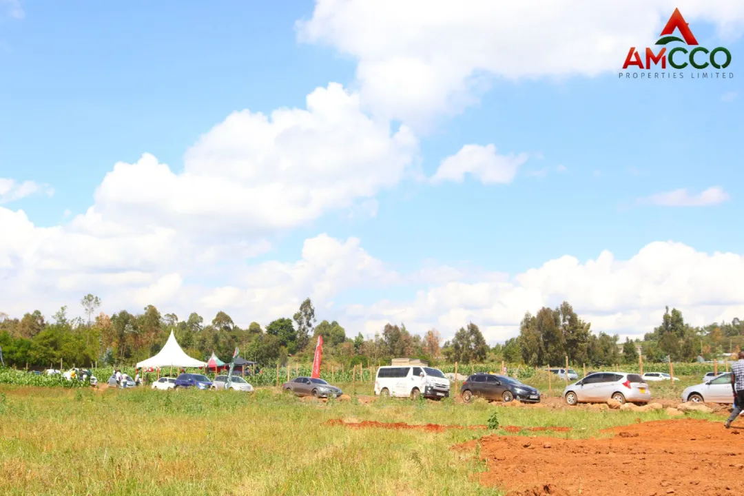 Amcco Precious Gardens 3 Launch