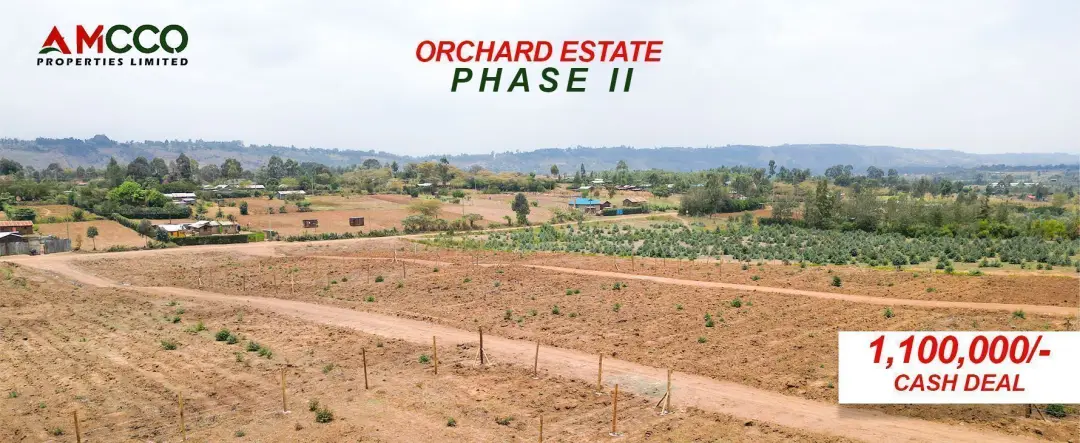 7 Tips on How To Sell Land Like a Pro!