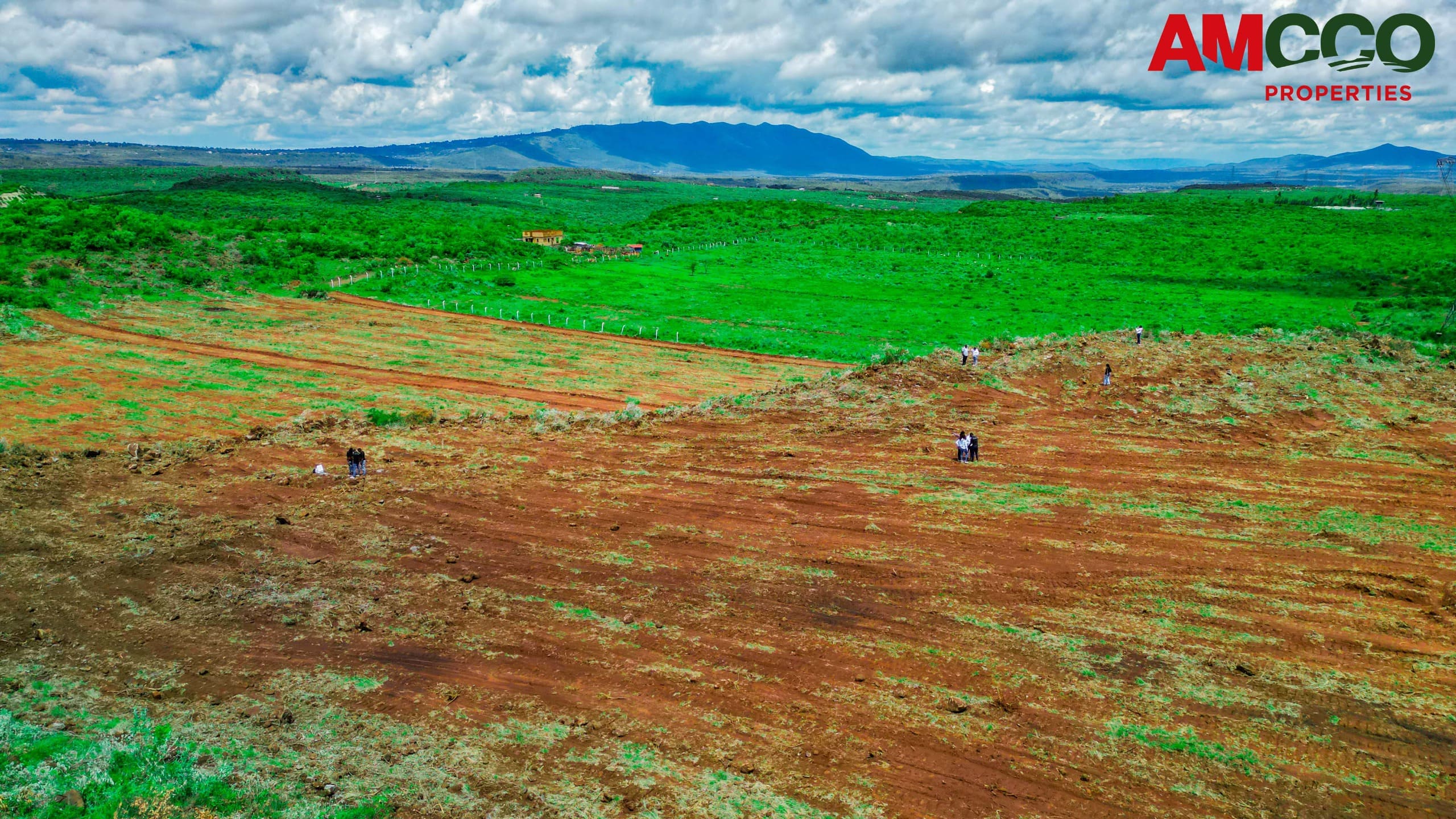 Prime Plots in Ngong 