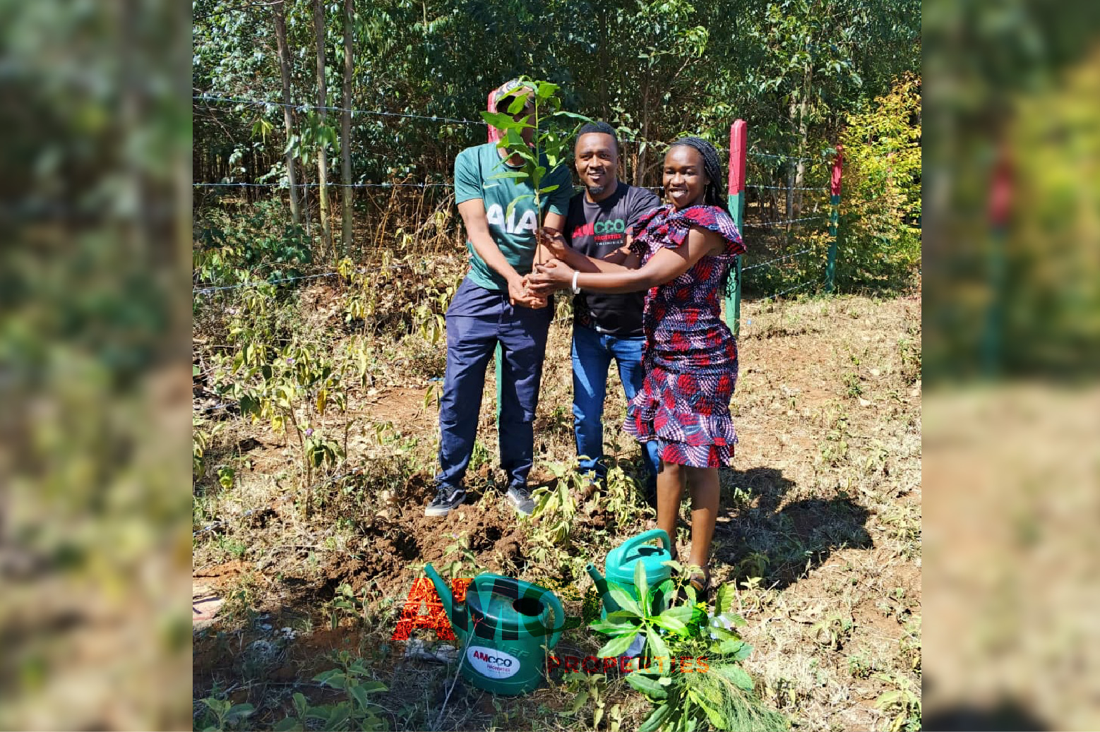Amcco at Mazingira Day 2025