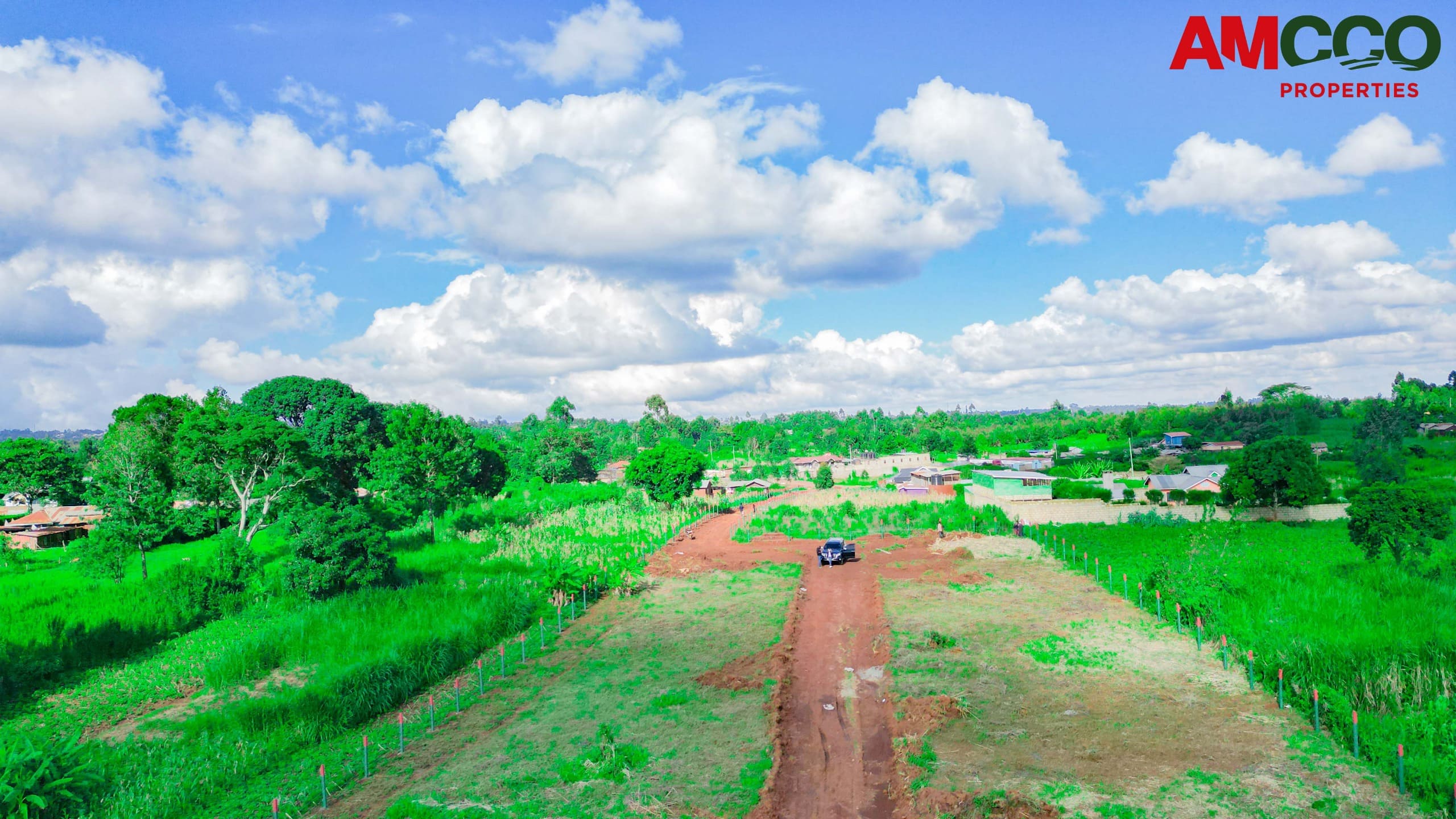 Plots in Thigio 