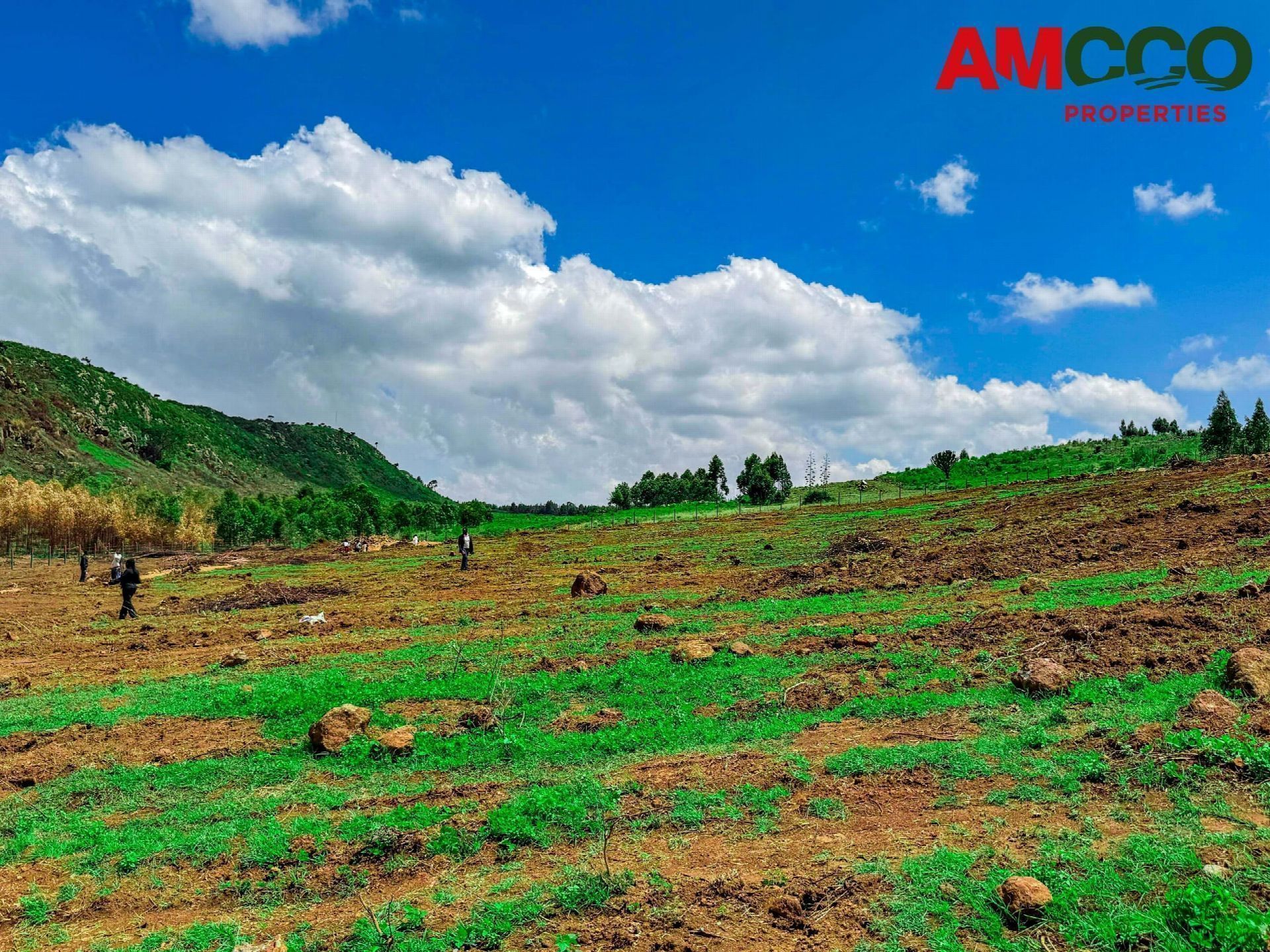 Grandview Estate: AMCCO Set to Launch Prime Plots at Affordable Price