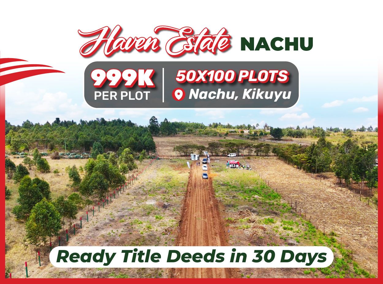 HAVEN ESTATE-NACHU