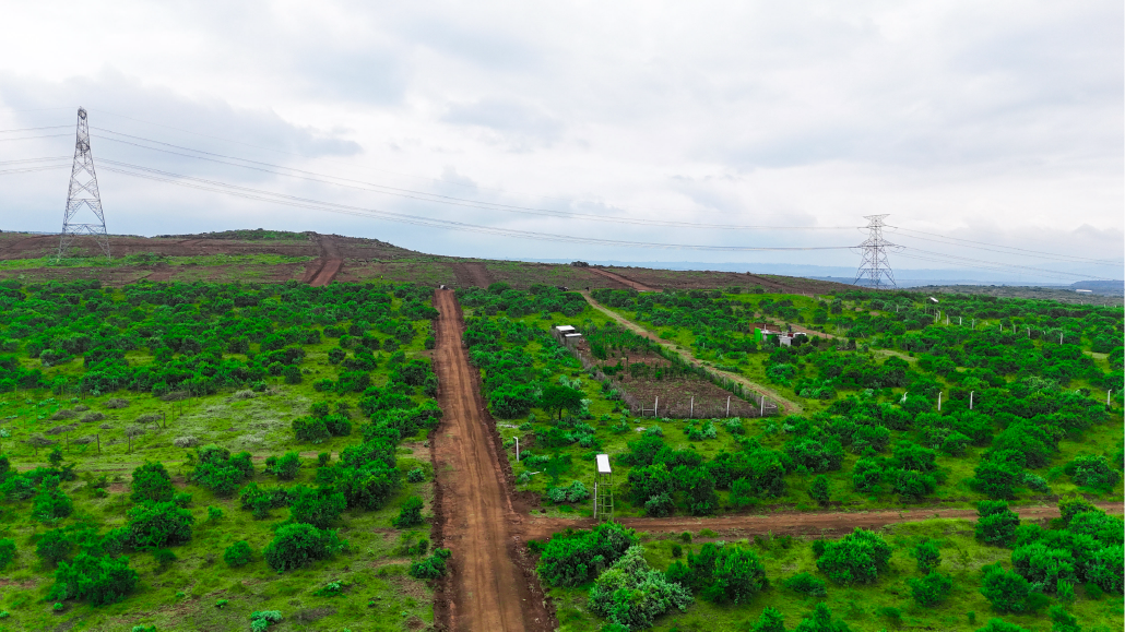 BERYL ESTATE –Affordable 50×100 Plots in Ngong from KSh 699k