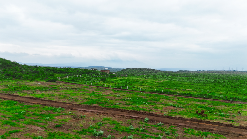 BERYL ESTATE –Affordable 50×100 Plots in Ngong from KSh 699k