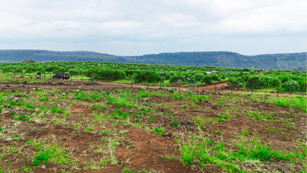 BERYL ESTATE –Affordable 50×100 Plots in Ngong from KSh 699k