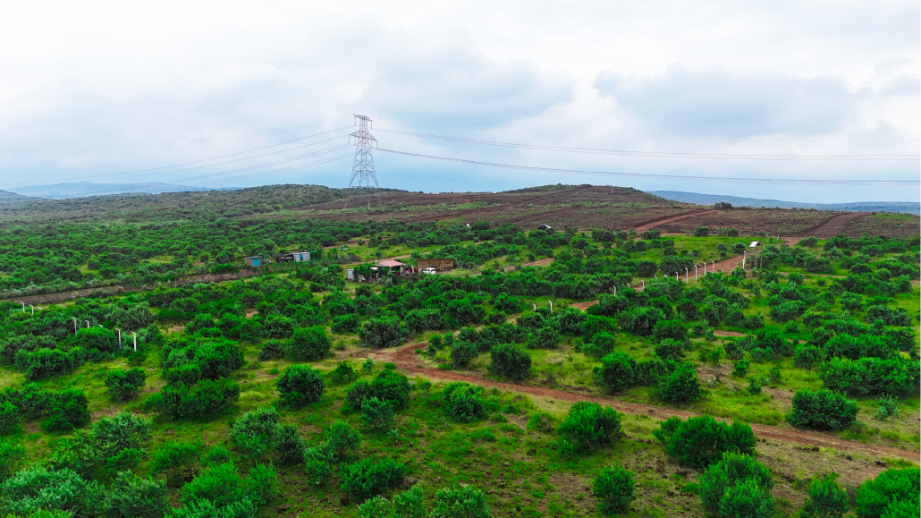 BERYL ESTATE –Affordable 50×100 Plots in Ngong from KSh 699k