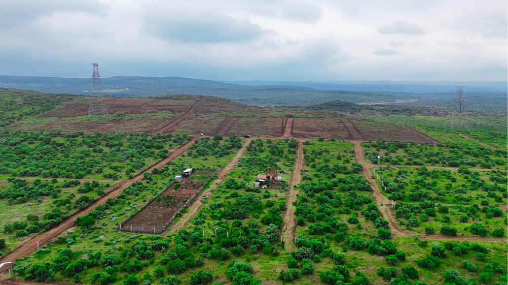 BERYL ESTATE –Affordable 50×100 Plots in Ngong from KSh 699k