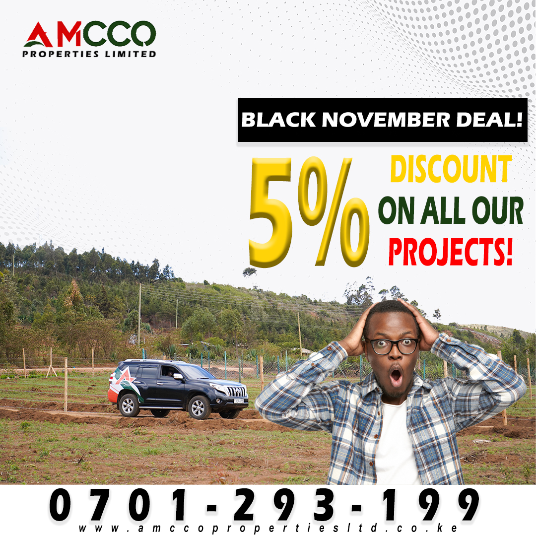 4 Reasons to Invest With Us During This Season and Month of November