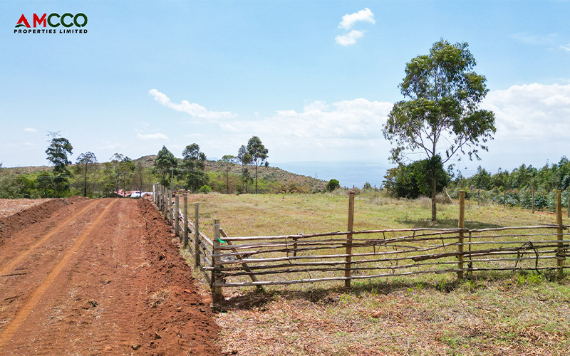 Important Details To Consider When Buying Piece of land in Kenya