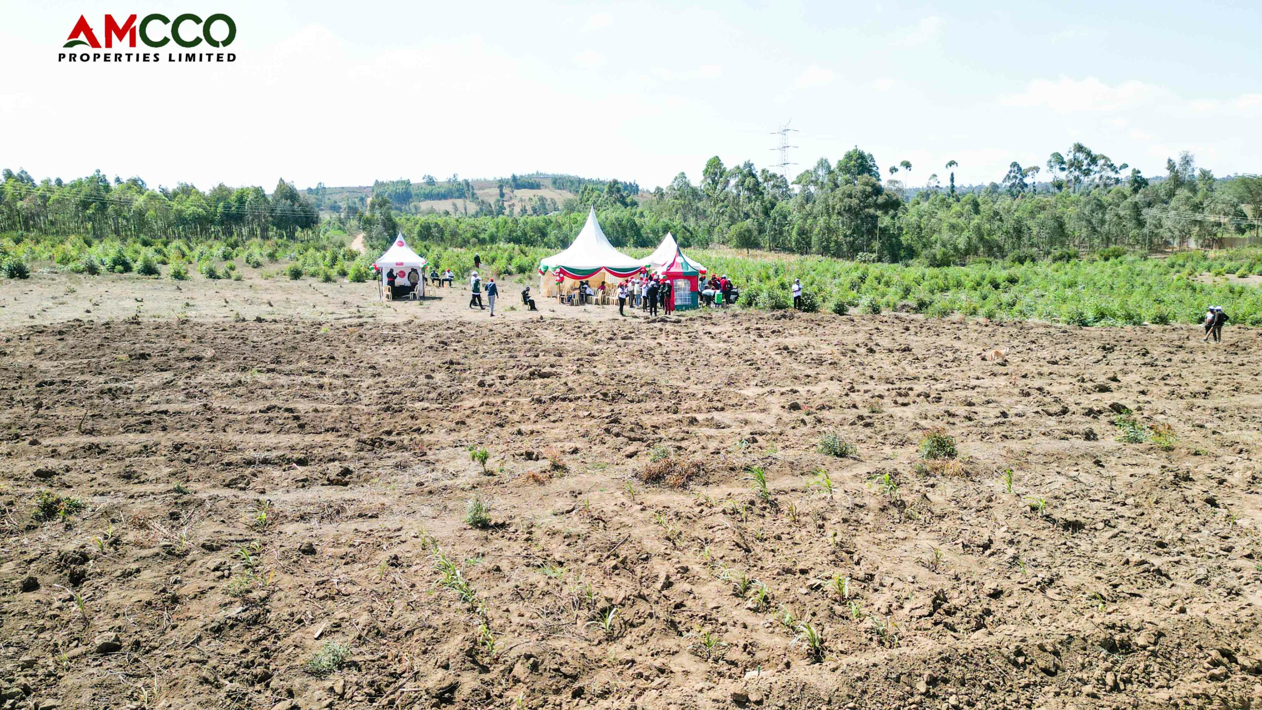 5 Things To Note Before Buying Land In Kenya