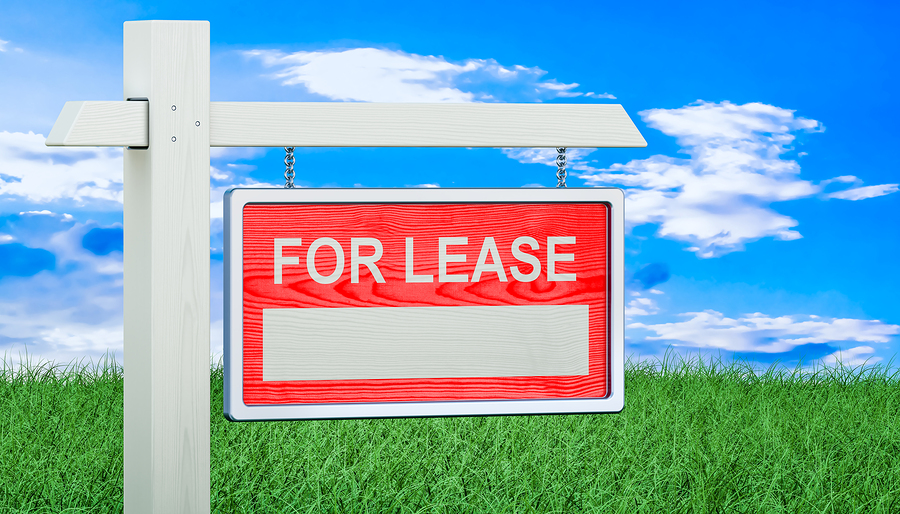 Pros and Cons Of Leased land in Kenya