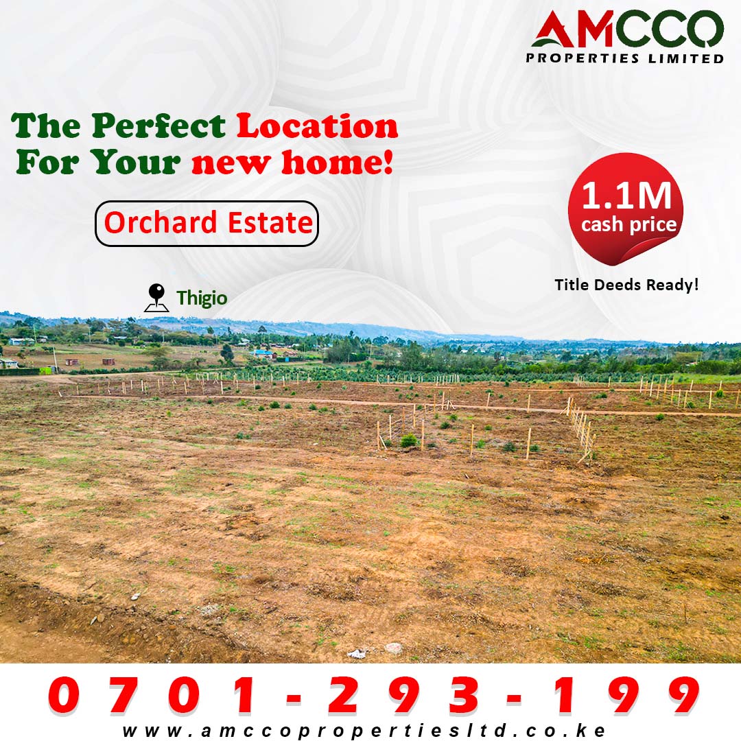 How To Buy Land in Kenya as a Foreigner