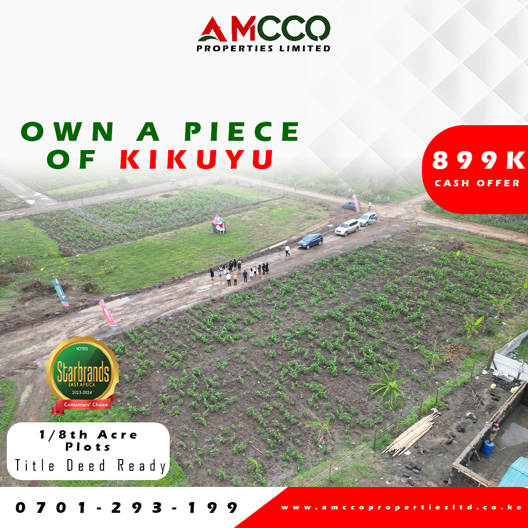 5 Reasons As To Why You Should Invest in Kikuyu