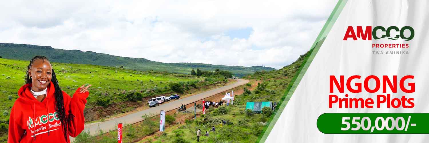 Ngong plots for sale 