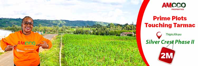 Affordable plots touching tarmac in Thigio