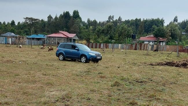 GREENVALLEY KIKUYU